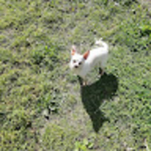 Meet your Posher, Freddie